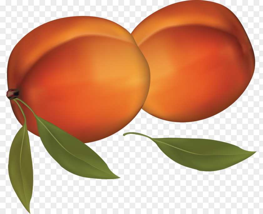 Peach Juice Clip Art PNG