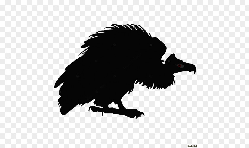 Silhouette American Crow Bird PNG
