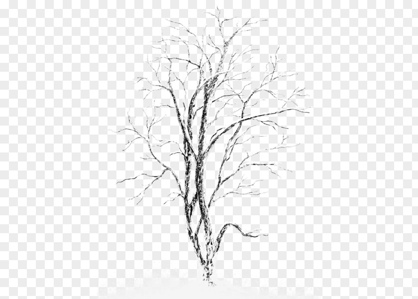 Snow-covered Trees Silver Birch Tree Clip Art PNG