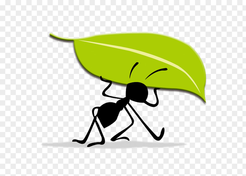 Ants Move Leaves Logo Idea Ant PNG