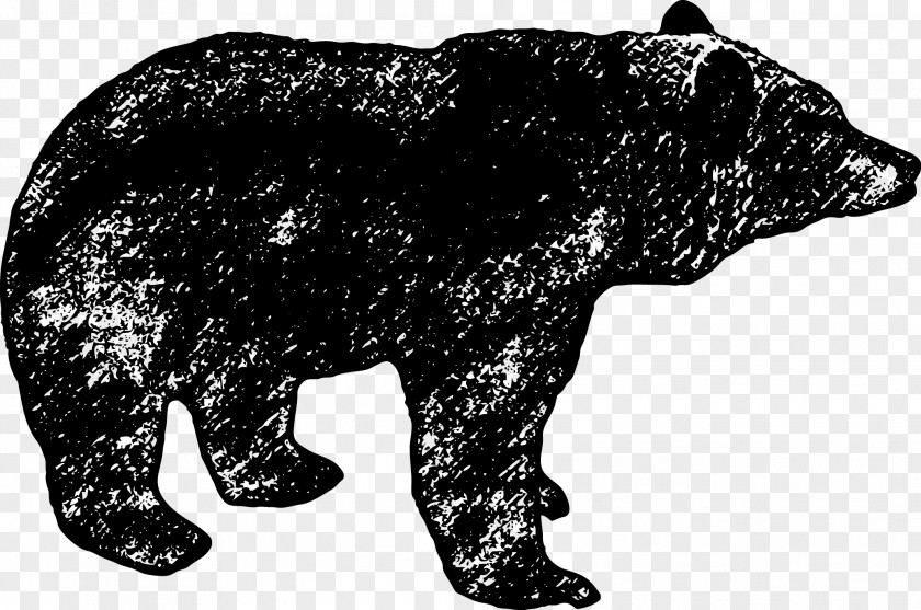 Black Bear Vector Drawing Pencil PNG
