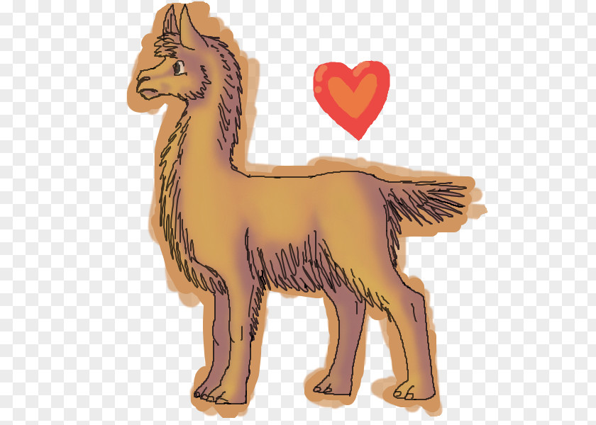 Dog Llama Drawing DeviantArt Digital Art PNG