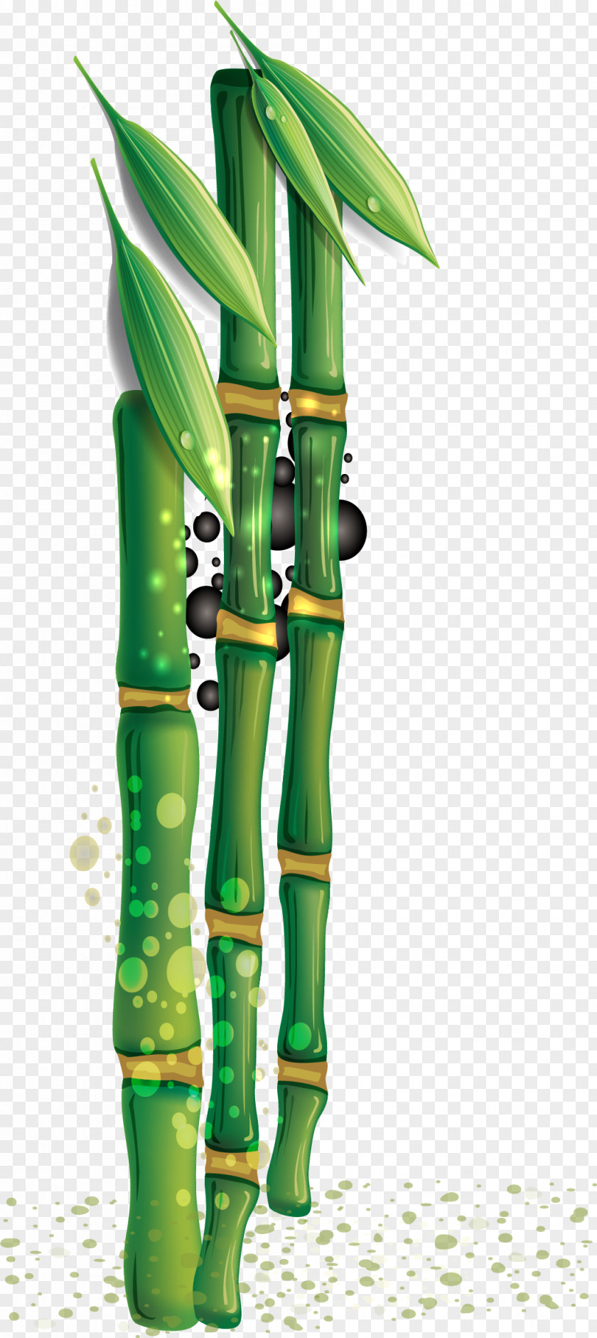 Hand Painted Green Bamboo Download PNG