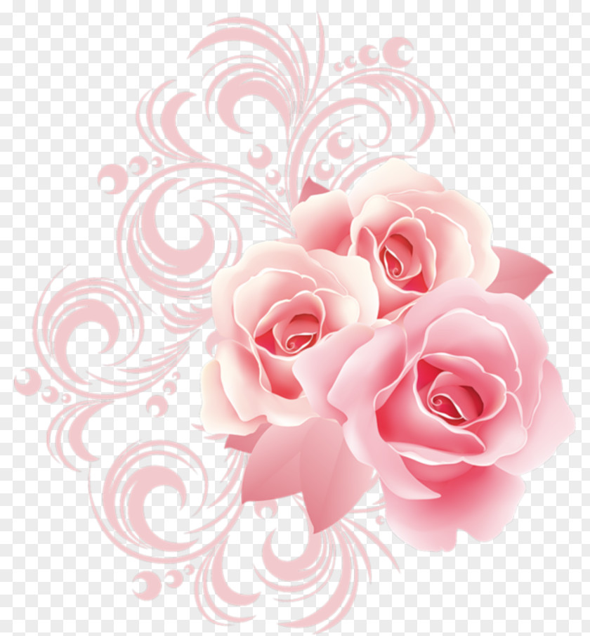 Pink Flower Border Rose Clip Art PNG