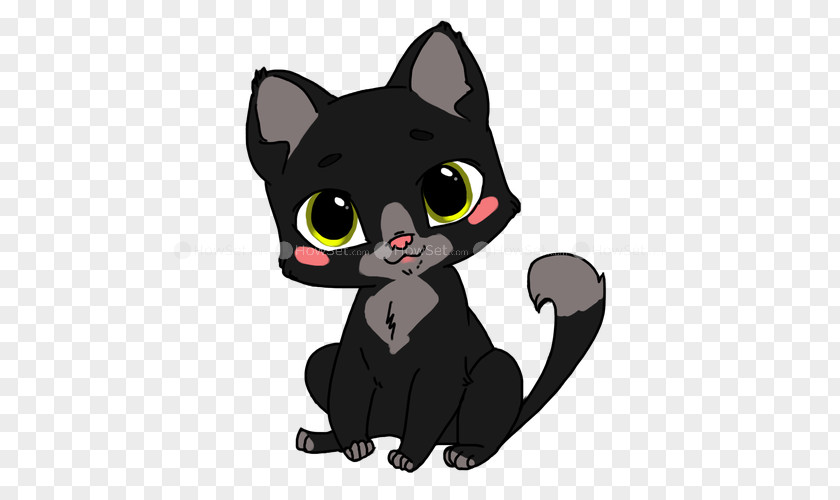 A Black Puppy Cat Kitten Korat Bombay American Wirehair PNG