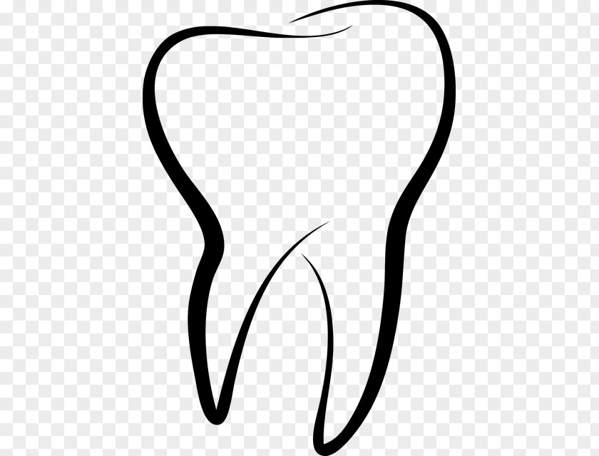 Dent Dentistry Clip Art PNG