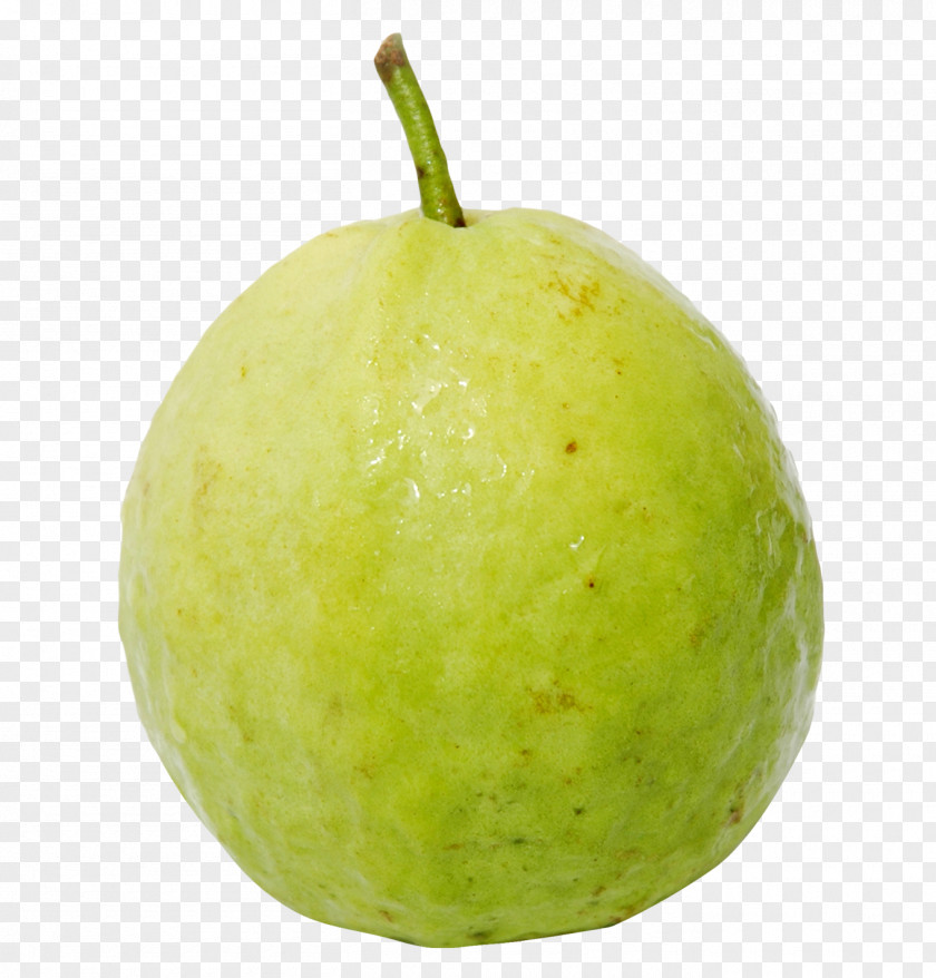 Guava Pear Key Lime Citron Sweet Lemon PNG
