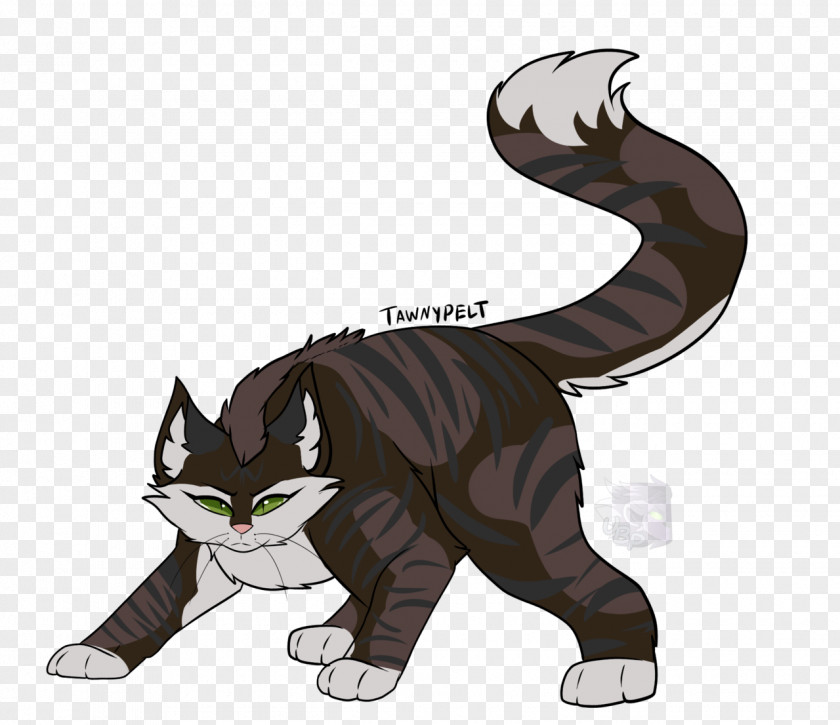 Kitten Tabby Cat Forest Of Secrets Cinderpelt PNG