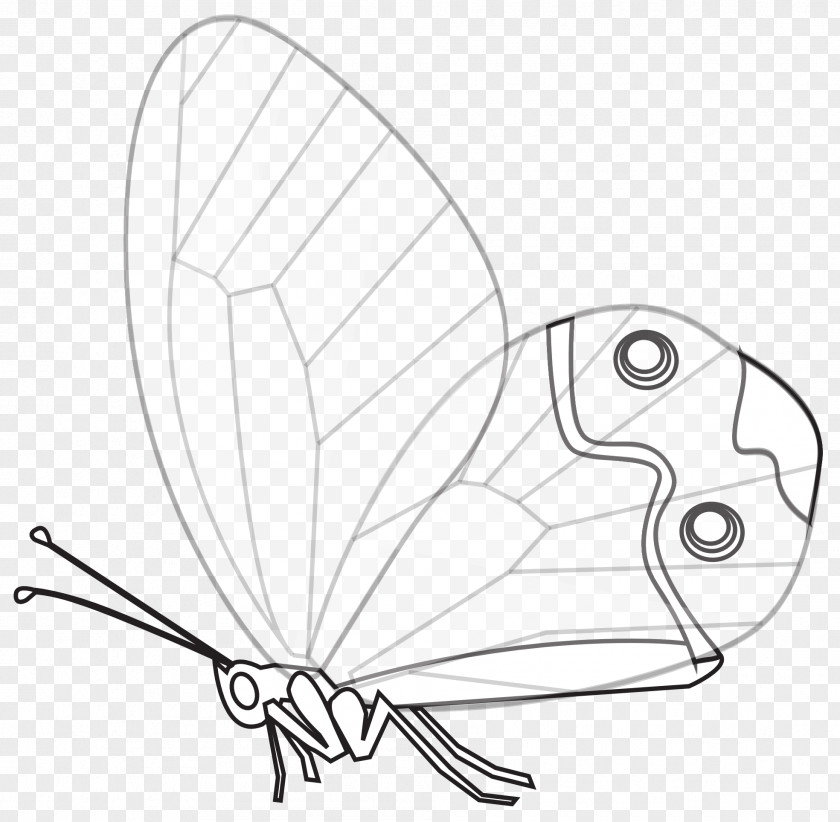 Line Art Papillon Dog Butterfly Black And White Drawing PNG