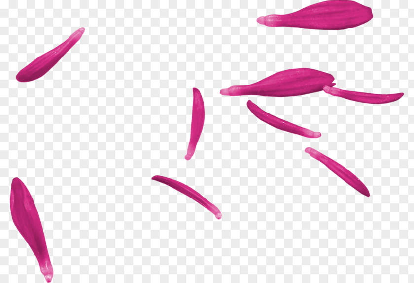 Pink M Lip RTV Beauty.m PNG