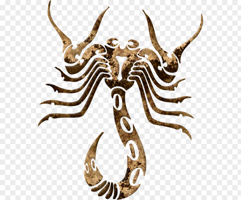 Scorpio Astrological Sign Horoscope Zodiac Cancer PNG