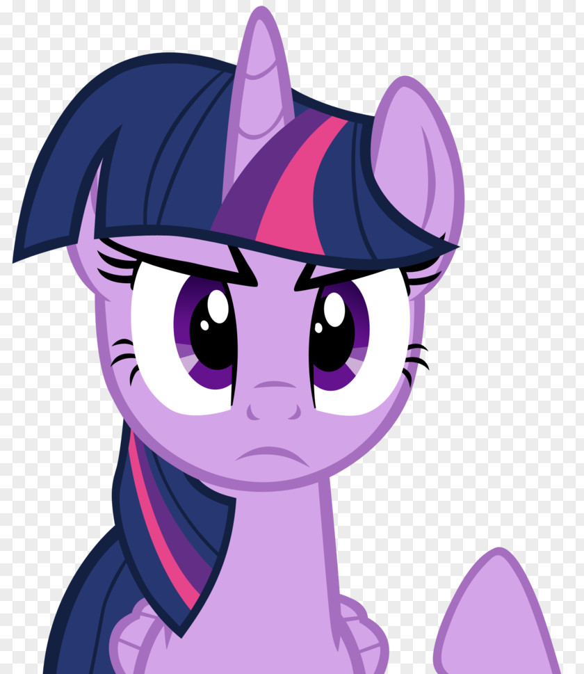 Twilight Sparkle Pinkie Pie Rarity Applejack My Little Pony PNG