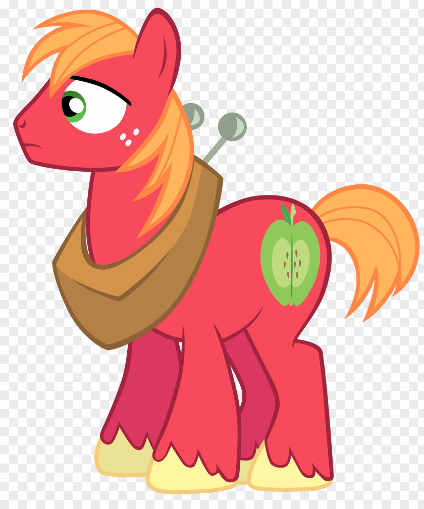 Big Mac Pony McIntosh Twilight Sparkle Applejack Rainbow Dash PNG