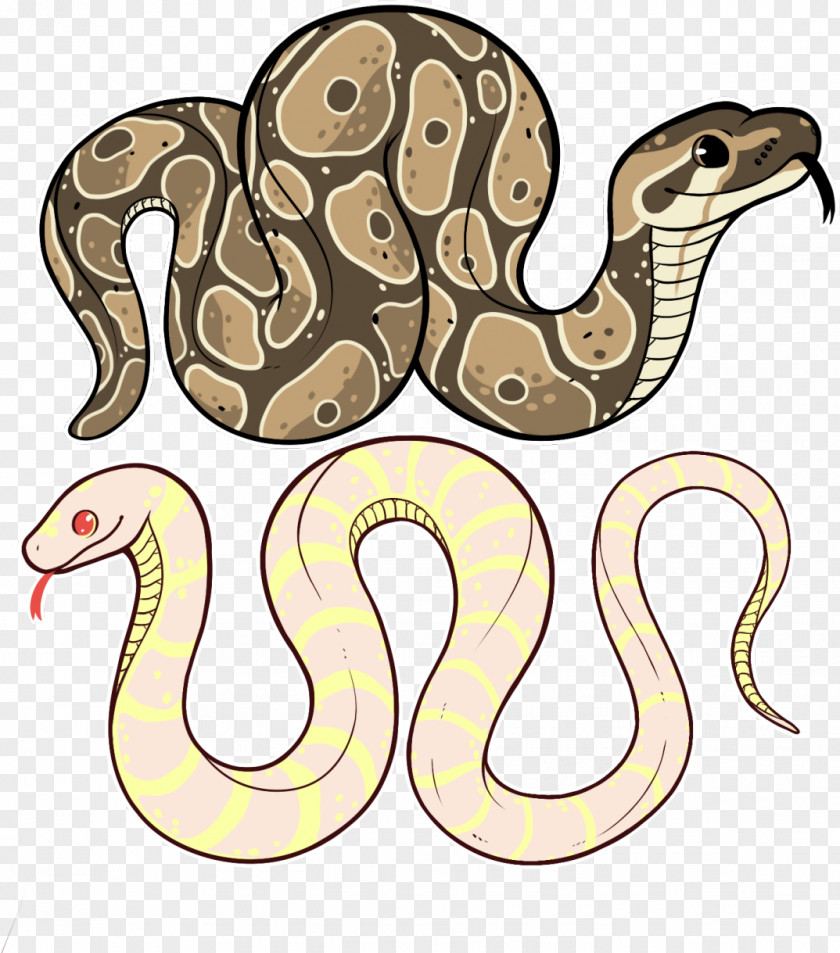 Brown Snake Boa Constrictor Cartoon PNG
