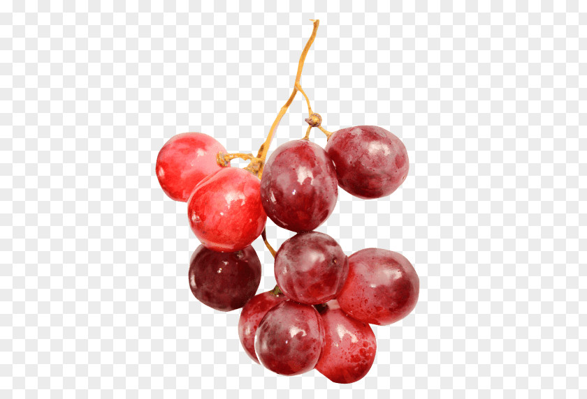 Grape Wine Grapes White PNG