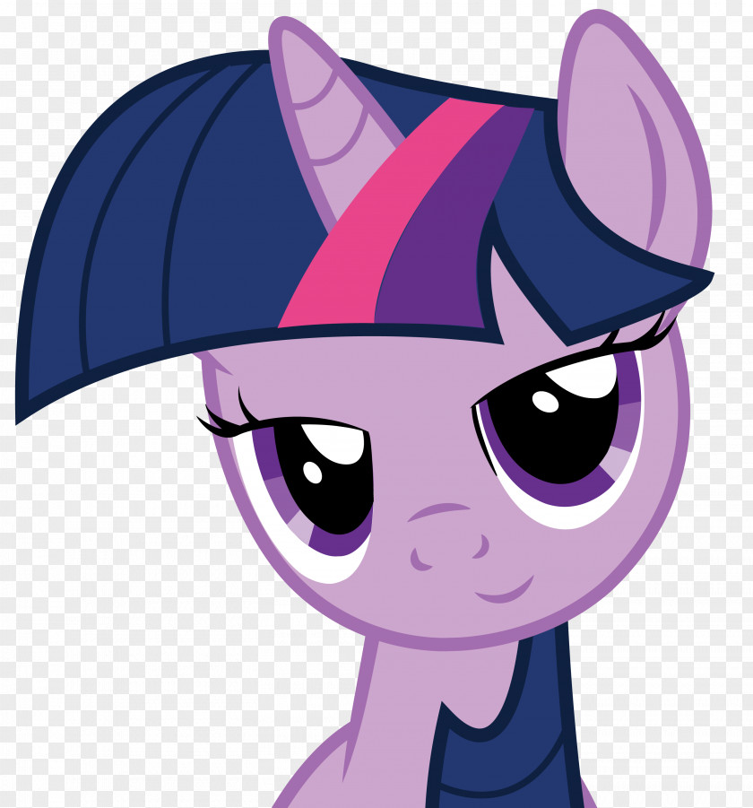 Pepe Vector Twilight Sparkle Rainbow Dash Rarity Applejack Pinkie Pie PNG