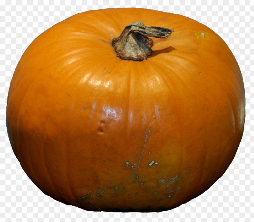 Pumpkin Jack-o'-lantern Gourd Winter Squash Calabaza PNG