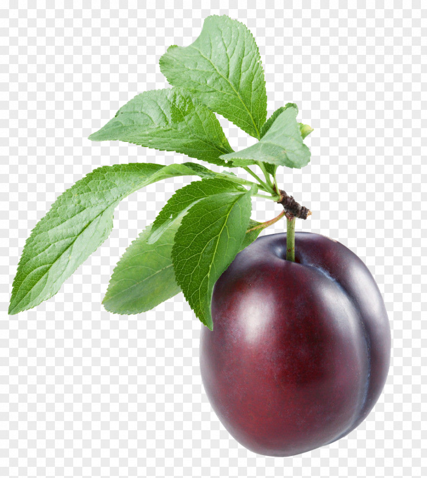 Red Plums Common Plum Stock Photography Leaf PNG