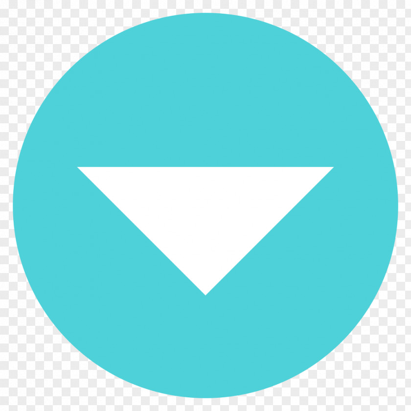 Triangulo User Login SMS Hamburger Button PNG