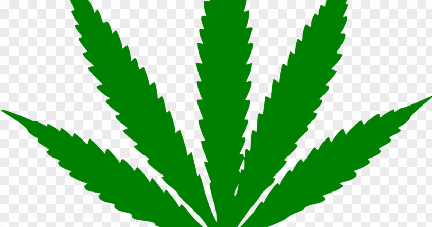 Cannabis Sativa Hemp Cultivation Marijuana PNG