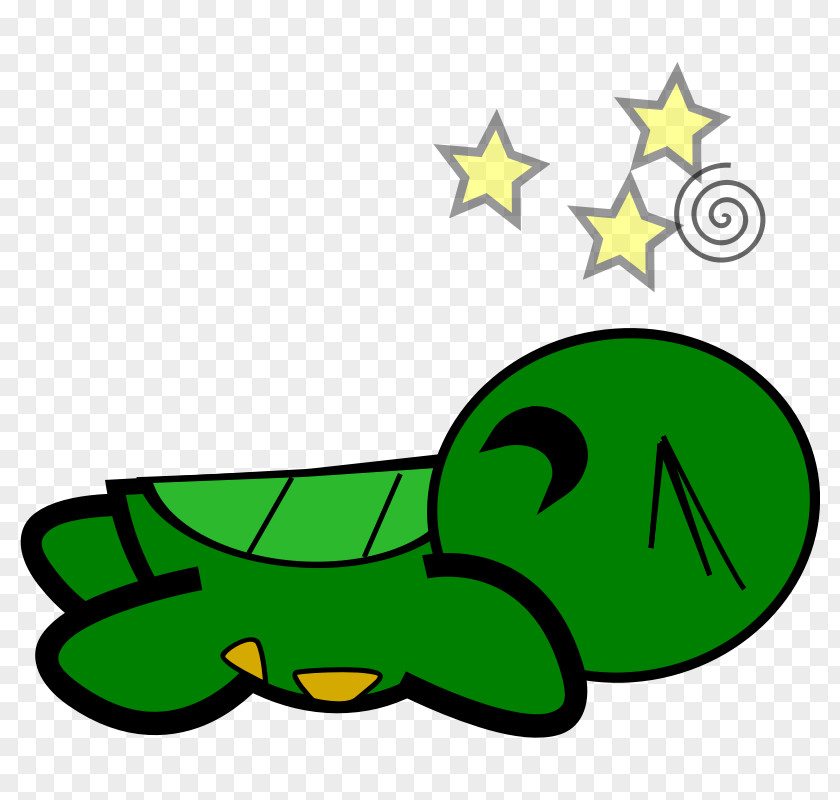 Cartoon Picture Of Turtle Clip Art PNG