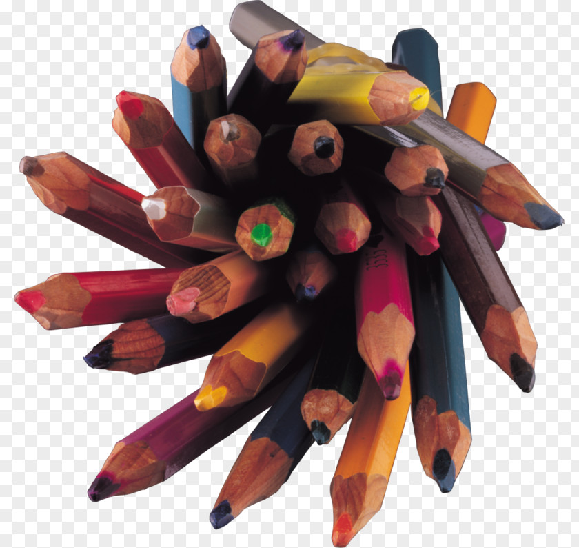 Colorful Brush Kozelsk Colored Pencil Clip Art PNG