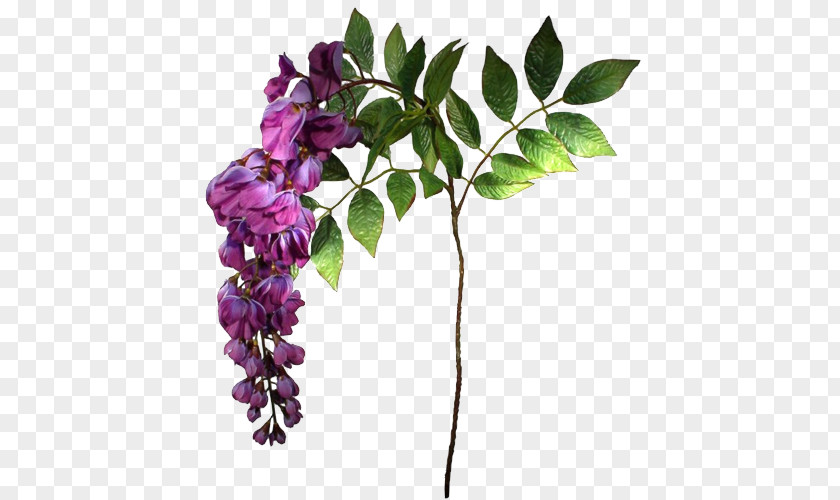 Flower Blue Violet Mauve Purple PNG