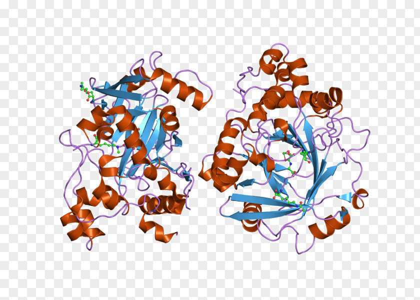 KDM4A Demethylase Art Gene Lysine PNG