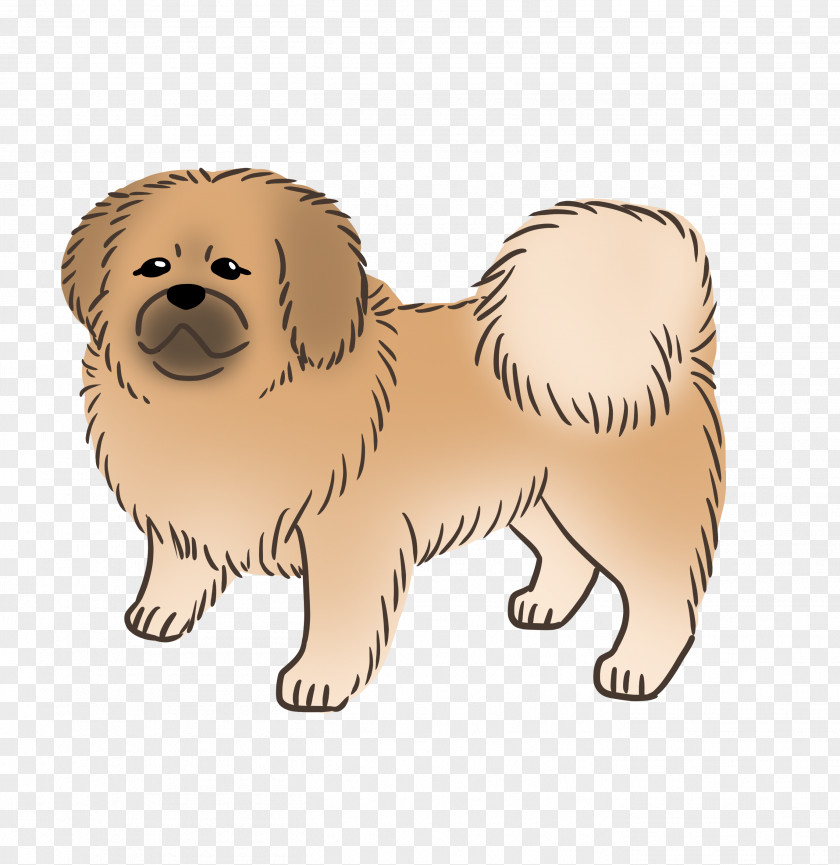 Puppy Dog Breed Companion Sporting Group PNG