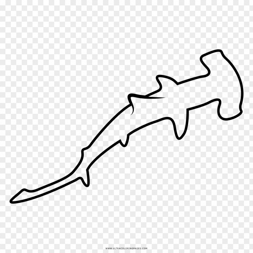 Shark Great Hammerhead Drawing Coloring Book Bonnethead PNG