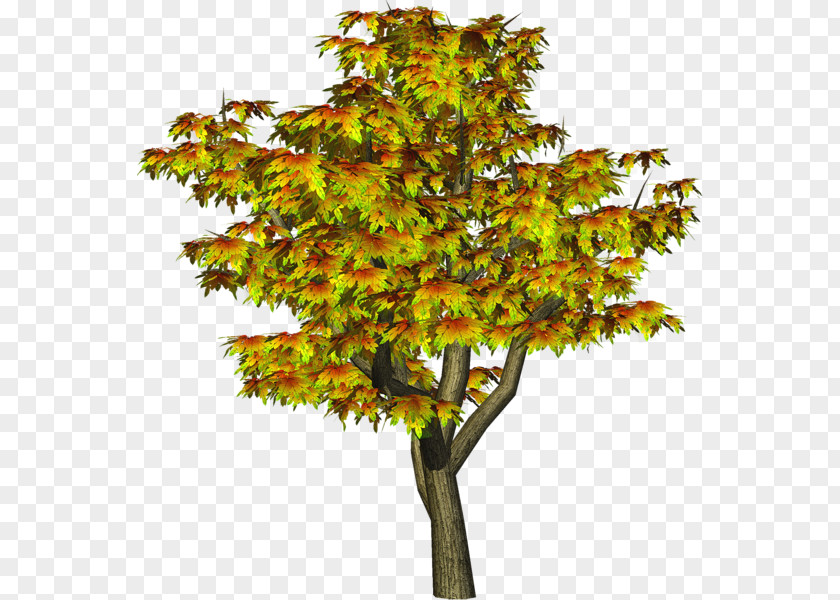 Tree PicsArt Photo Studio Clip Art PNG