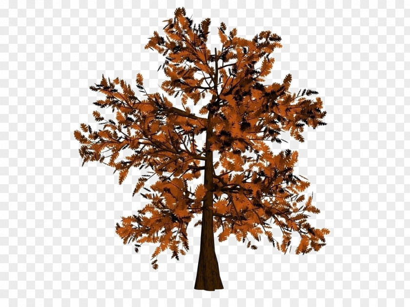 3D Oak Twig Tree PNG