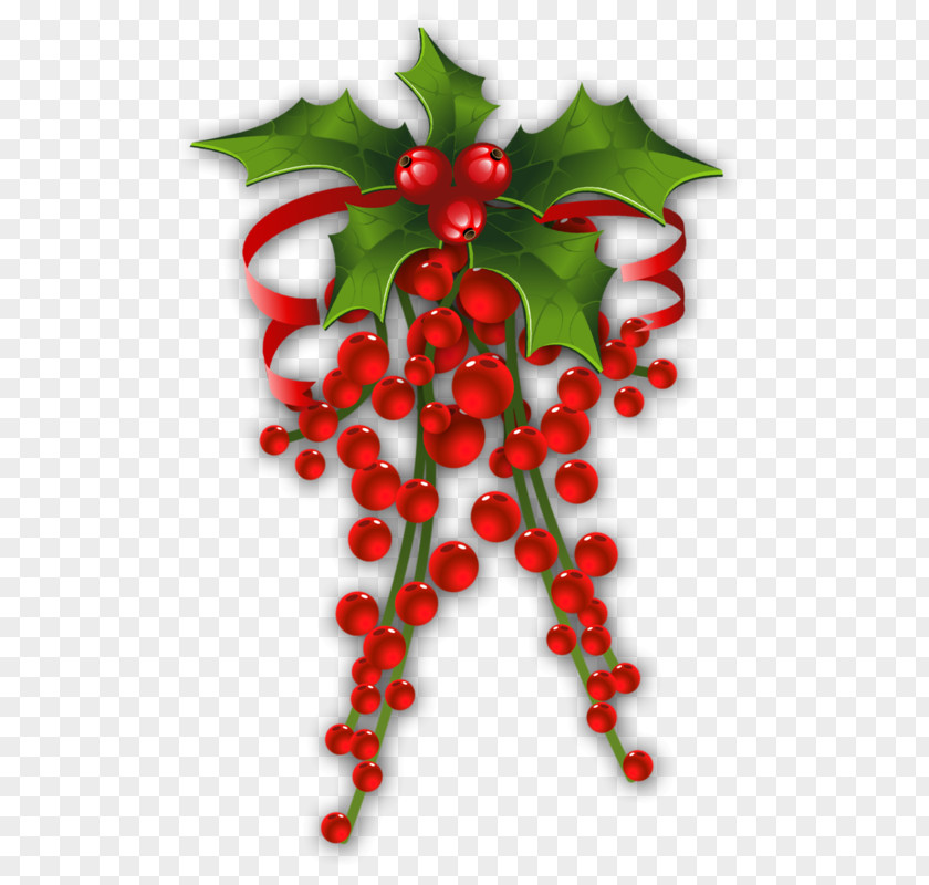 Gui Mistletoe Christmas Phoradendron Tomentosum Candy Cane Clip Art PNG