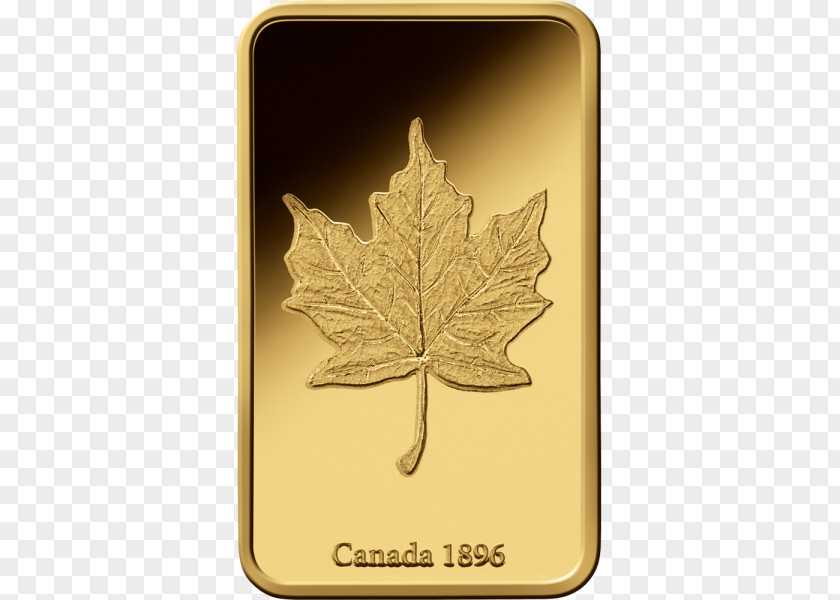 Leaf Gold Tree PNG