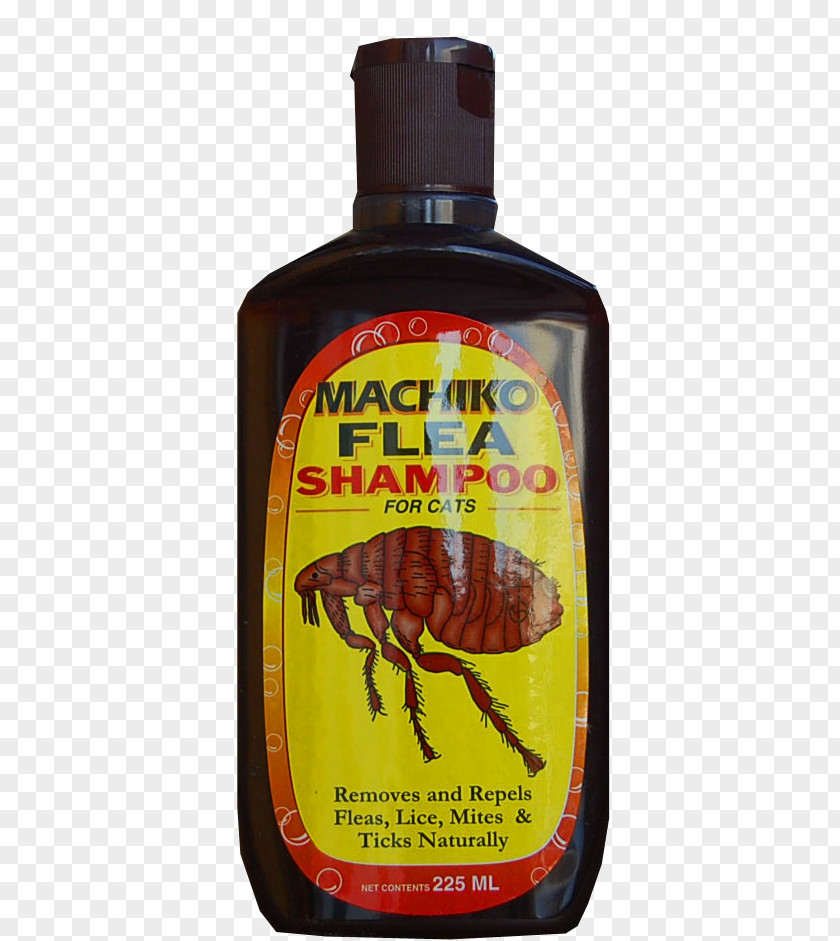 Mata Kucing Cat Food Shampoo Comb Louse PNG