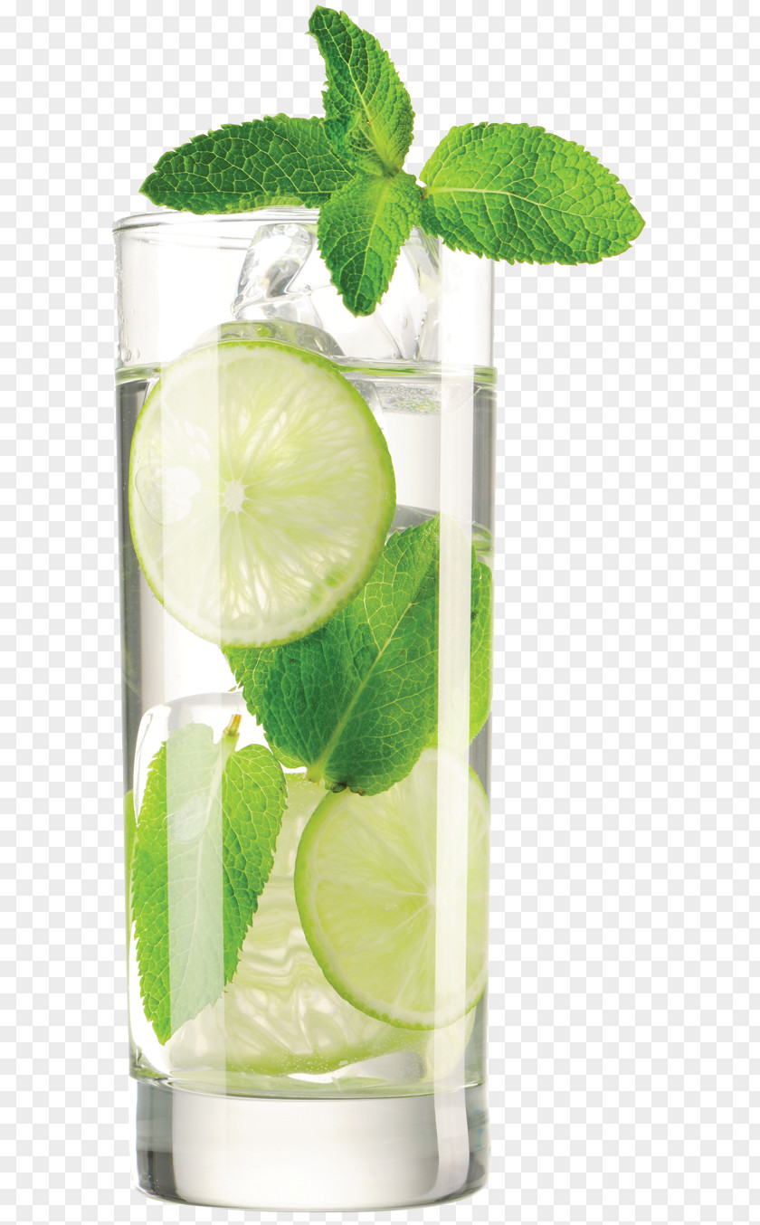 Mint Julep Mojito Caipirinha Vodka Tonic Water Filter Lime PNG