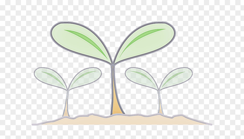 Symbol Plant Leaf Green PNG