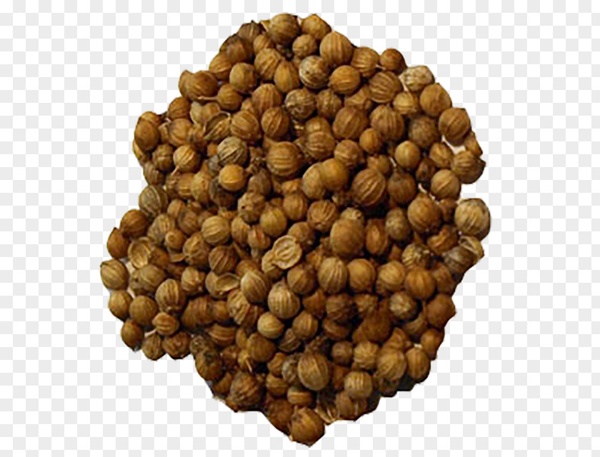 Walnut Vegetarian Cuisine Hazelnut Bean Seed PNG