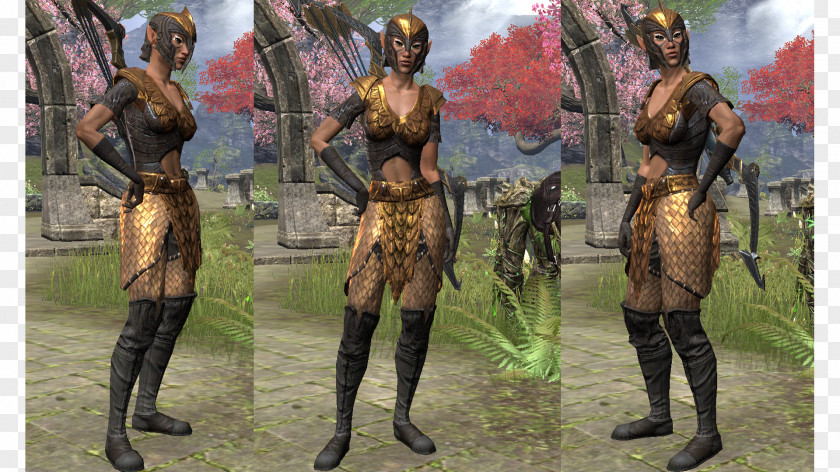 Armour The Elder Scrolls Online Combo Combination PNG