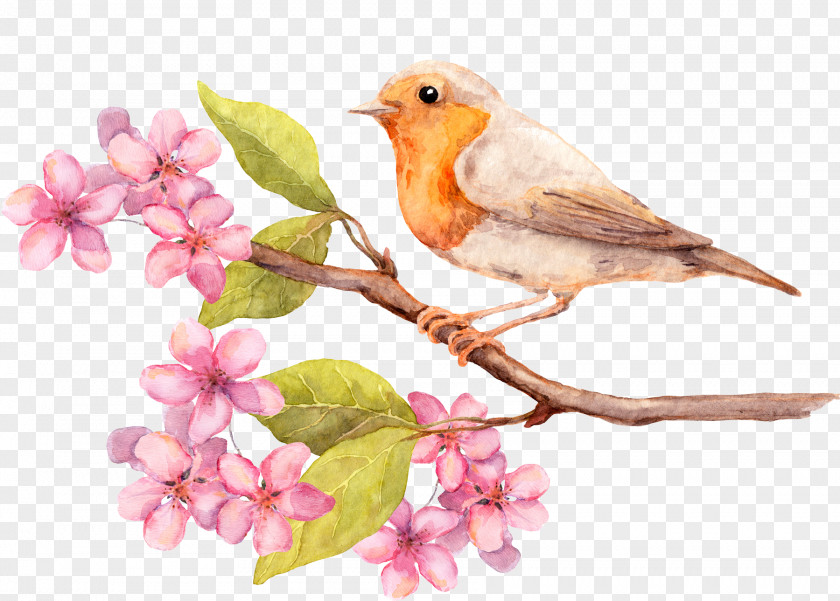 Beautiful Bird Delicate Peach Flowers Greeting Card Flower Watercolor Painting Birthday PNG