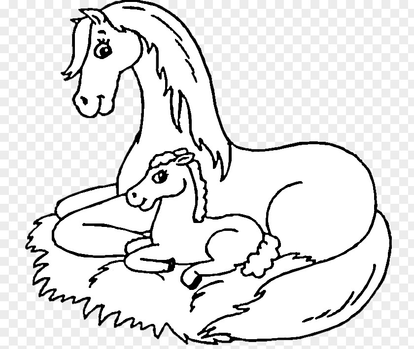 Fairy Tale Material Foal Coloring Book Pony Mustang Colouring Pages PNG