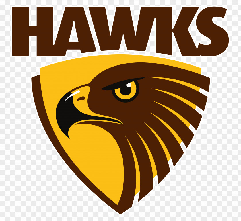 Hawk Hawthorn Football Club Australian League Box Hill Hawks Melbourne Geelong PNG