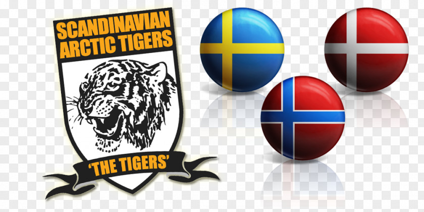 HULL Scandinavia Hull City Tiger .com .nu PNG