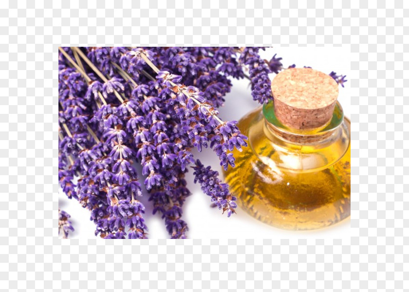 Lavender Watercolor Oil Essential Foot Odor PNG