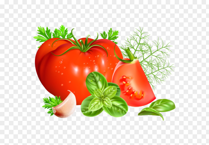 Tomato Photography Clip Art PNG
