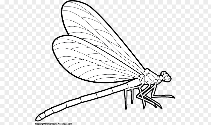 Black Dragonfly Cliparts Drawing Free Content Stock.xchng Clip Art PNG