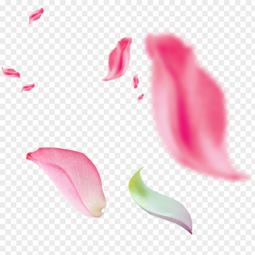 Falling Flowers Dance Download PNG