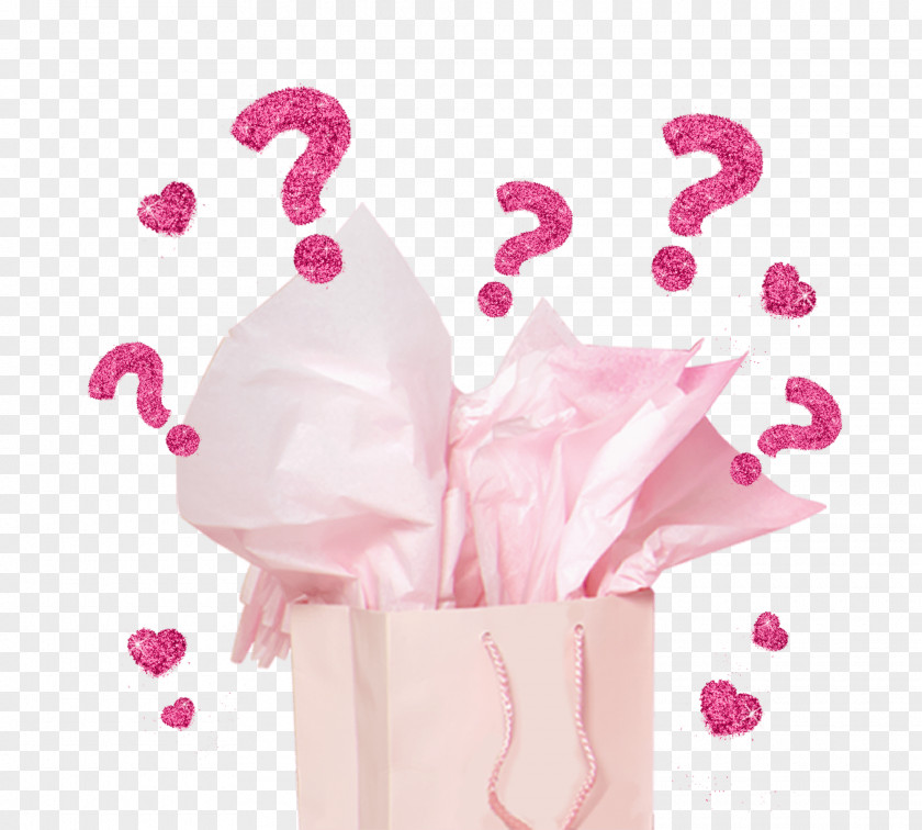 Mystery Bag Cyber Monday Cosmetics Subscription Box PNG