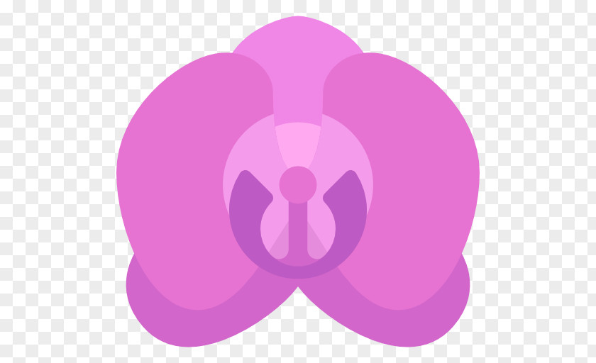 Orchid Purple Orchids PNG