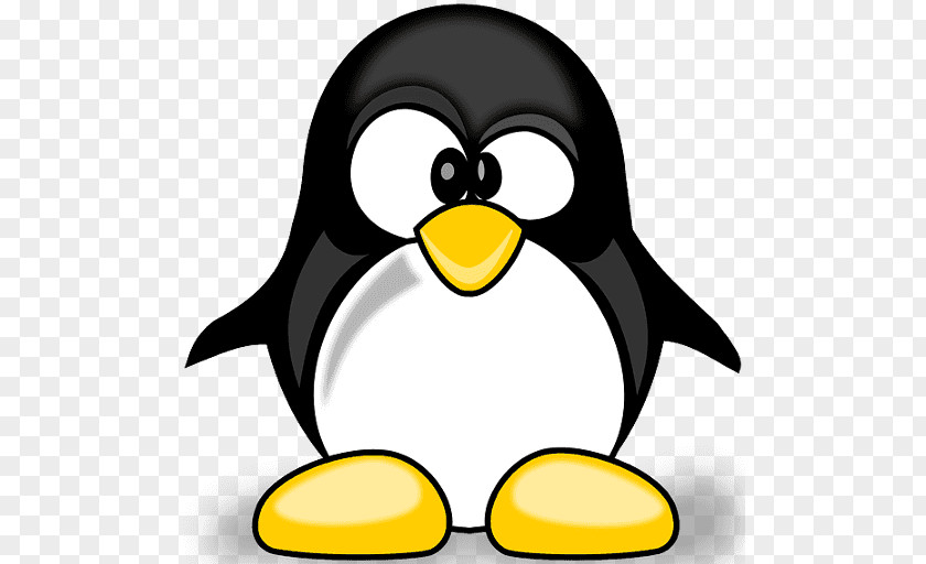 Penguin Clip Art Cartoon Vector Graphics PNG